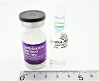 CEFTRIAXONA NORMON 500 mg POLVO Y DISOLVENTE PARA SOLUCIÓN INYECTABLE INTRAVENOSA EFG