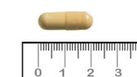 GABAPENTINA CINFA 300 mg CAPSULAS DURAS EFG