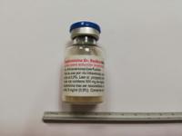 DAPTOMICINA DR. REDDYS 500 MG POLVO PARA SOLUCION INYECTABLE Y PARA PERFUSION EFG