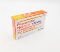 FEBUXOSTAT NORMON 120 MG COMPRIMIDOS RECUBIERTOS CON PELICULA EFG